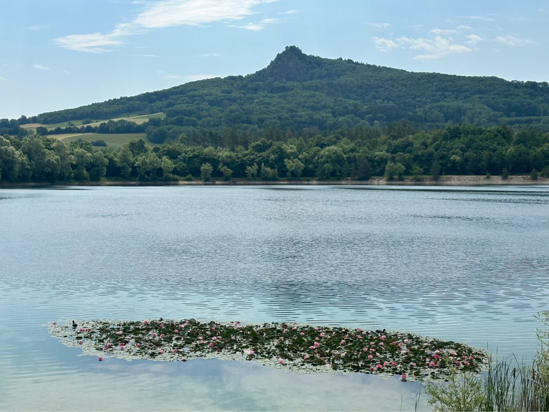 Binninger See angeln