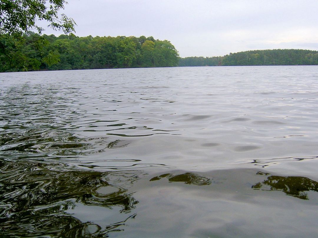 Lubiąż angeln