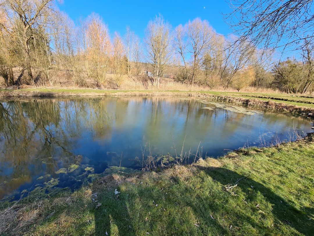 Forellengrund Mühlenteich (Osterode)  angeln