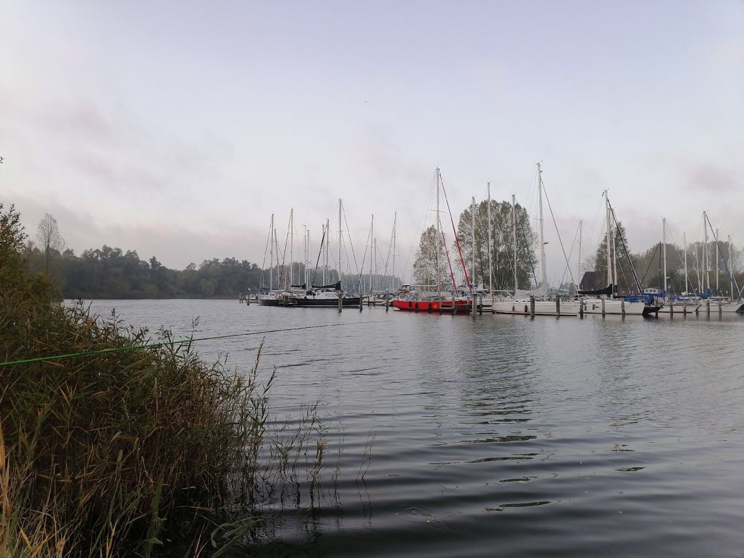 Hooksmeer (Hooksieler Binnentief) angeln