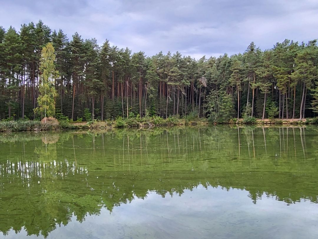 Kraus-Tröster-Weiher (Absberg) angeln