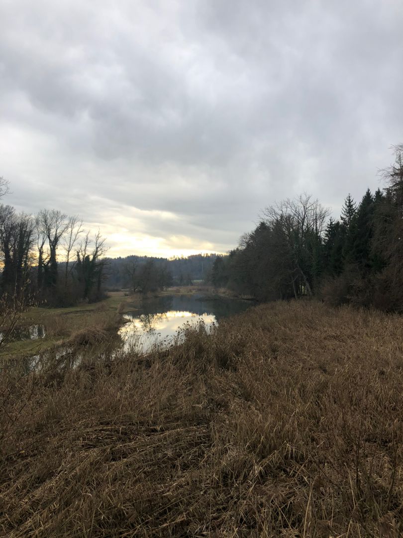 Wydhau Kanalweiher und Binnenkanal angeln