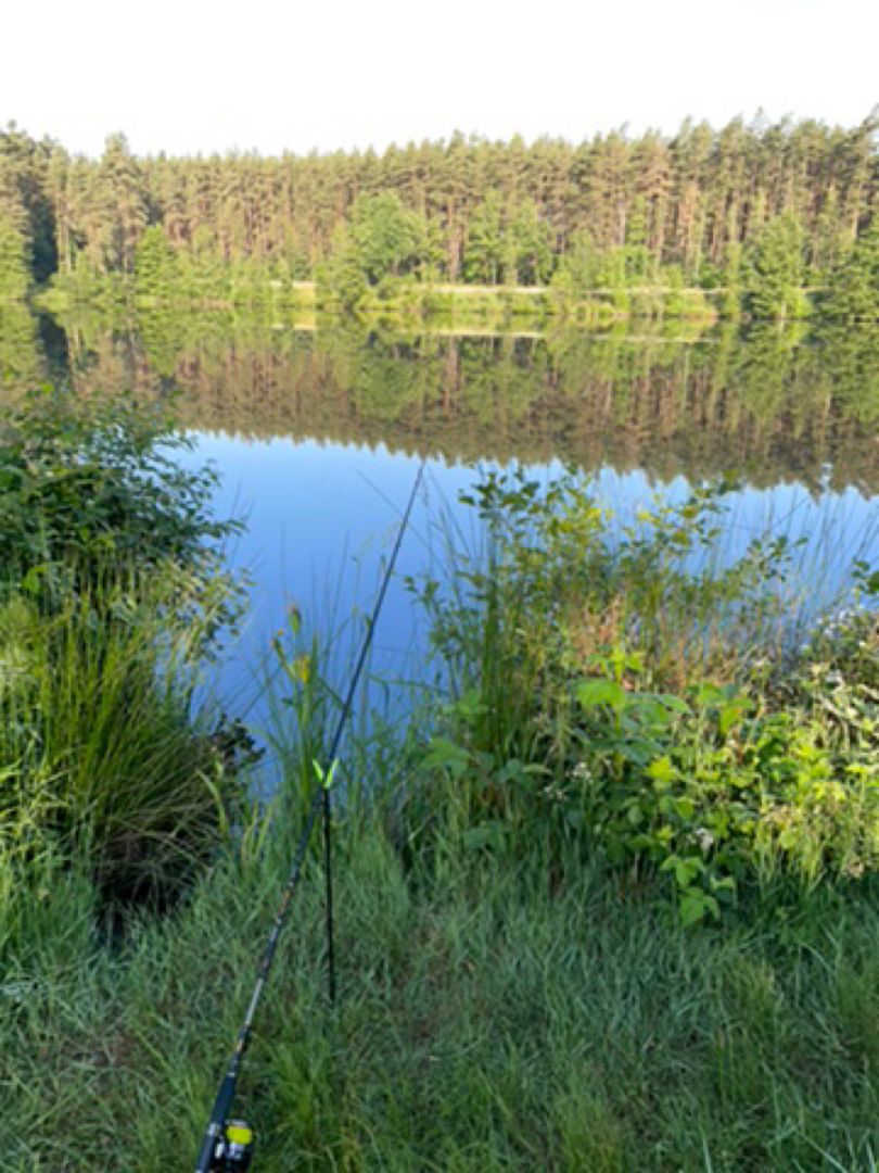 Opelweiher (Grafenwöhr) angeln