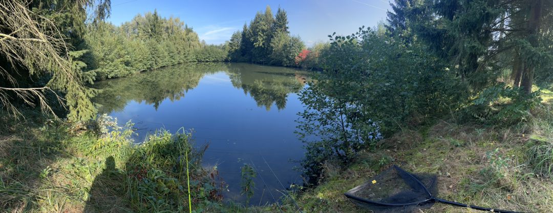 Weiher (Parkstetten) angeln