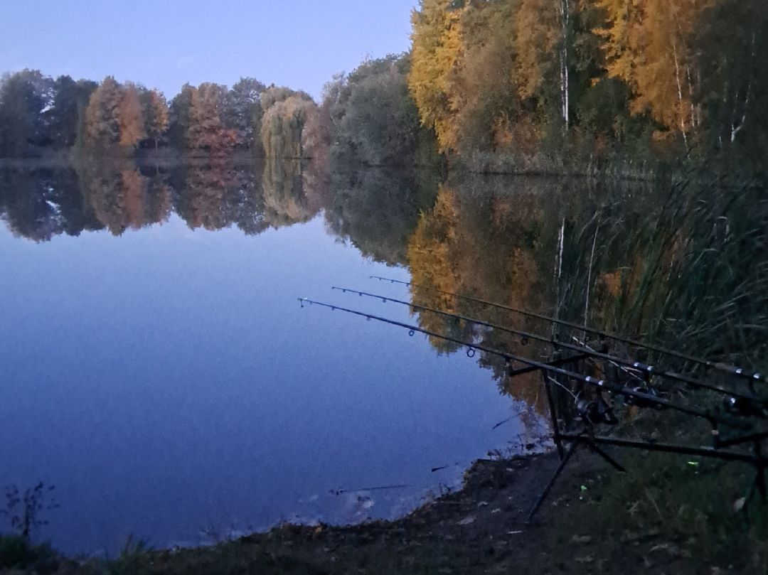 Teich Horst (Wipshausen) angeln