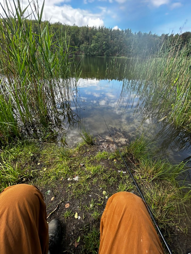 Kleiner Lienewitzsee angeln