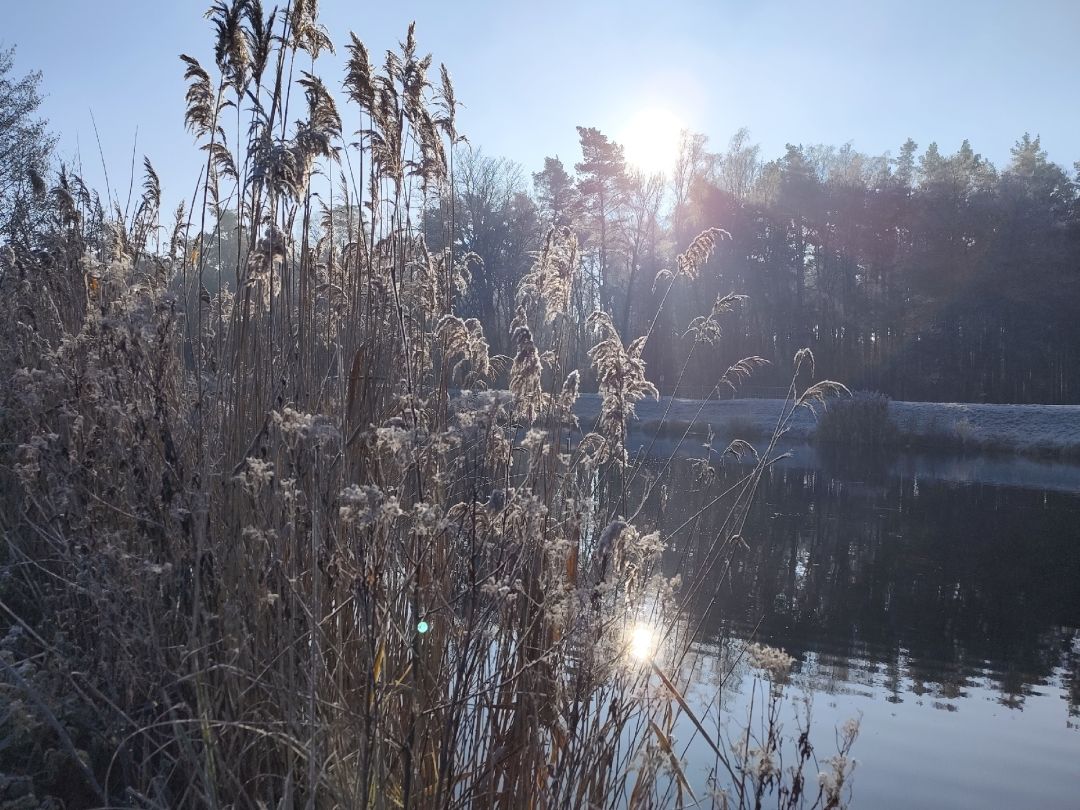 Friedrich-Wilhelm-Kanal (Schlaubehammer) angeln