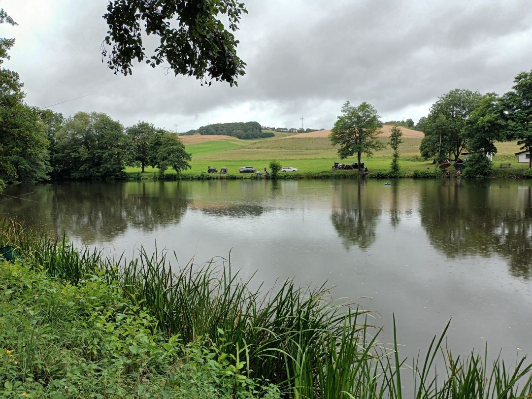 Landschaftsweiher Niederkirchen angeln