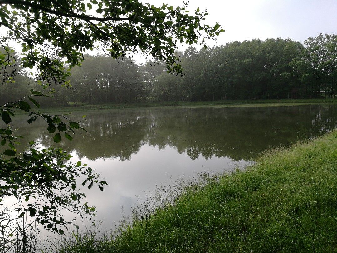 Teichanlage Neunkhausen angeln