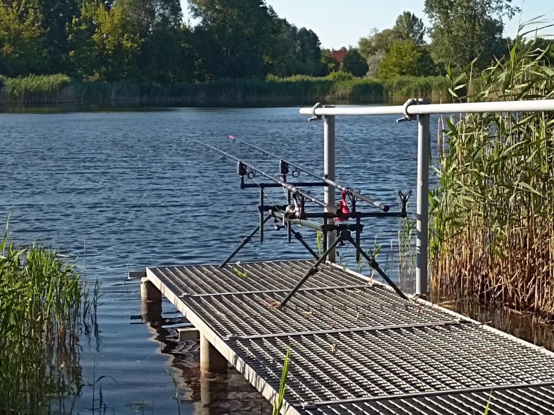 Pfarrteich Seeben (Halle) angeln