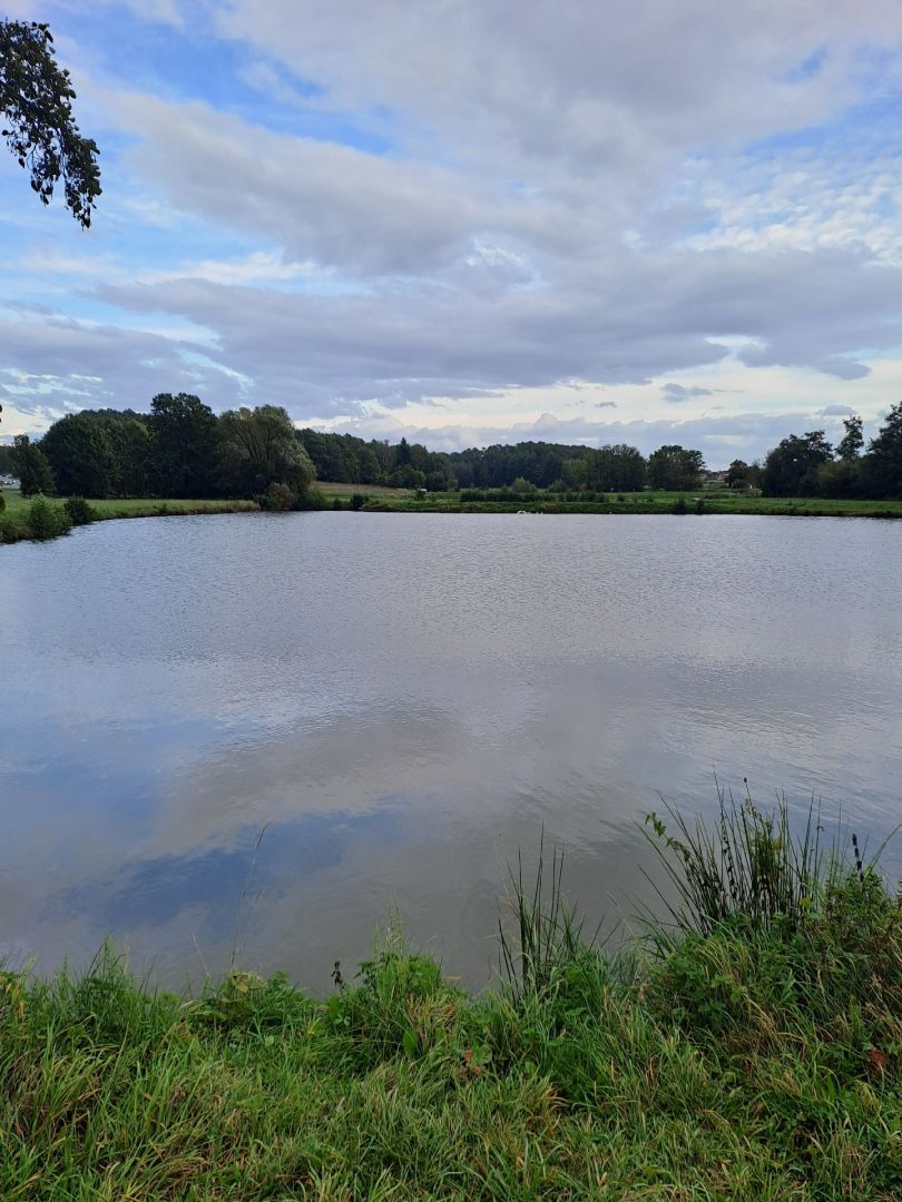 Zeckerner Weiher angeln