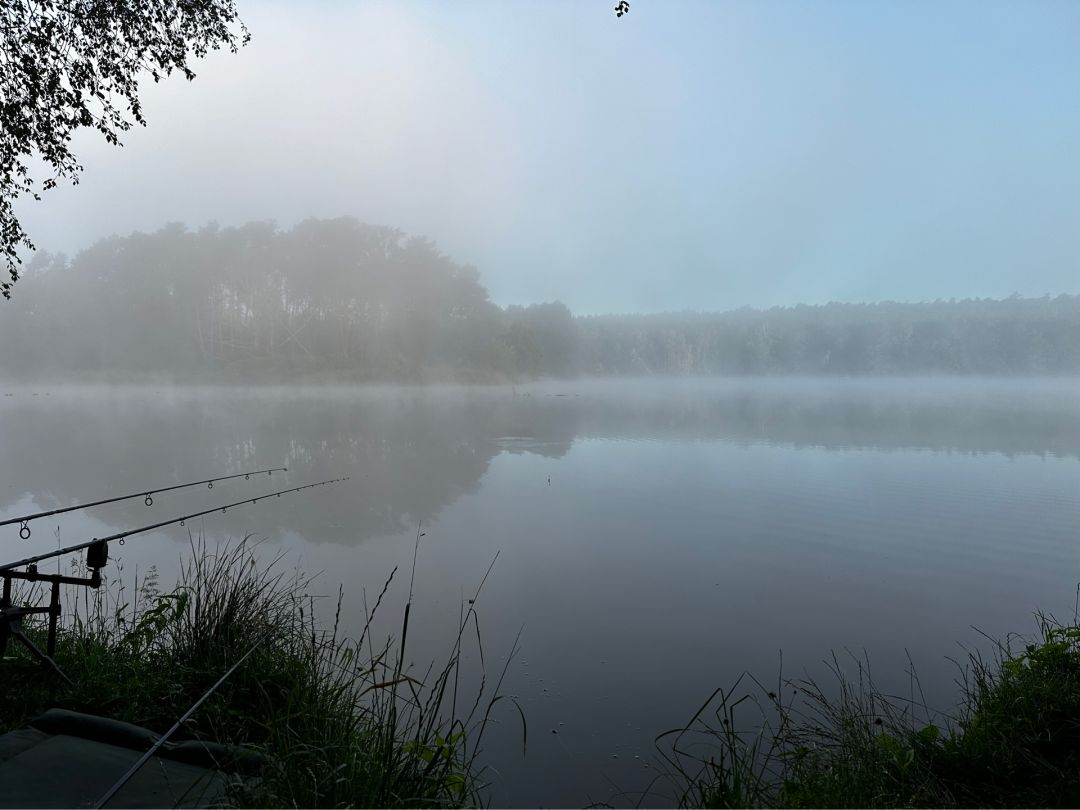 Torfstich Maxsee (Hoppegarten) angeln