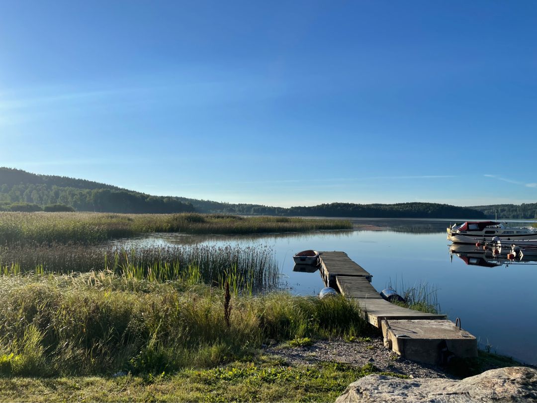 Älgsjön angeln