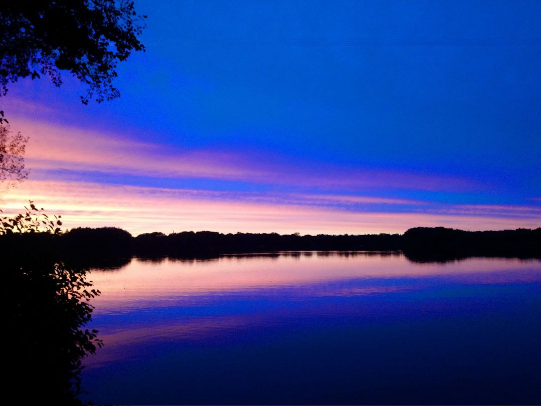 Kronensee (Westerfeld) angeln