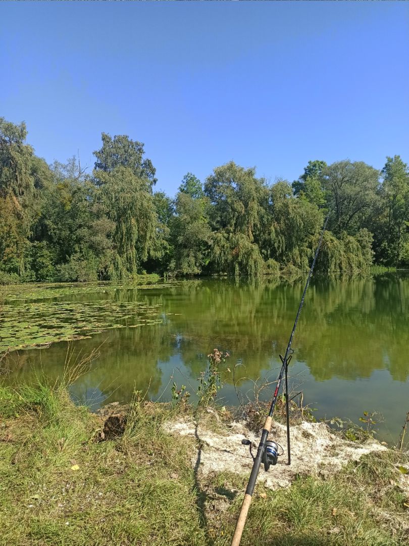 Birkensee (Dingolfing) angeln