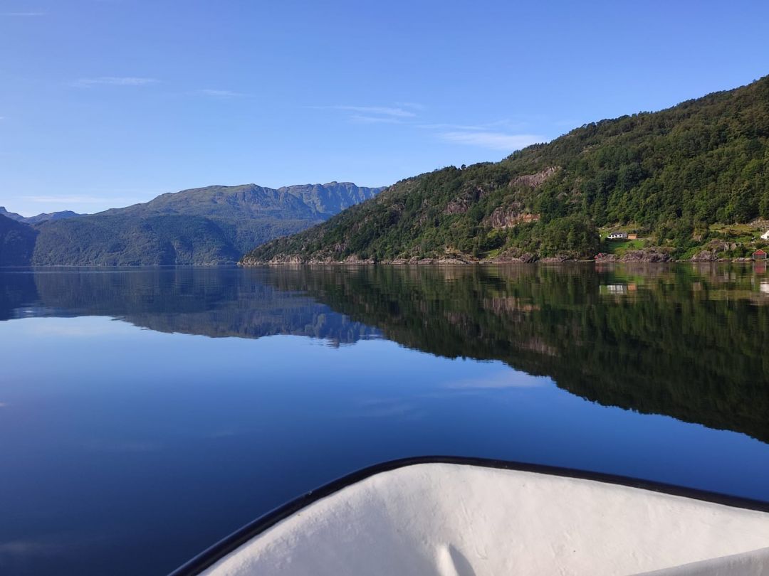 Skånevikfjorden angeln