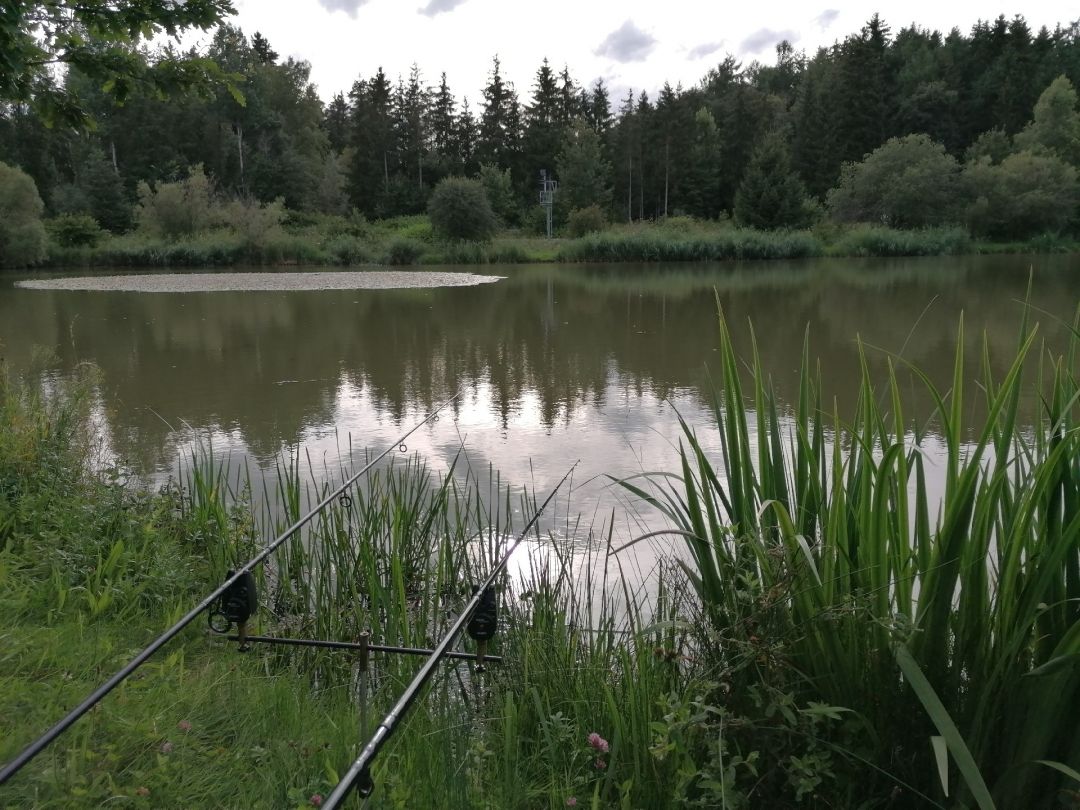 Deißlinger Weiher angeln