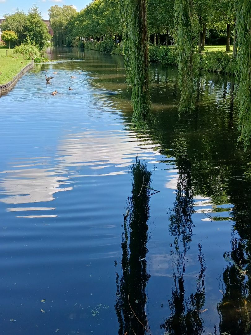 Festungsgraben Glückstadt angeln