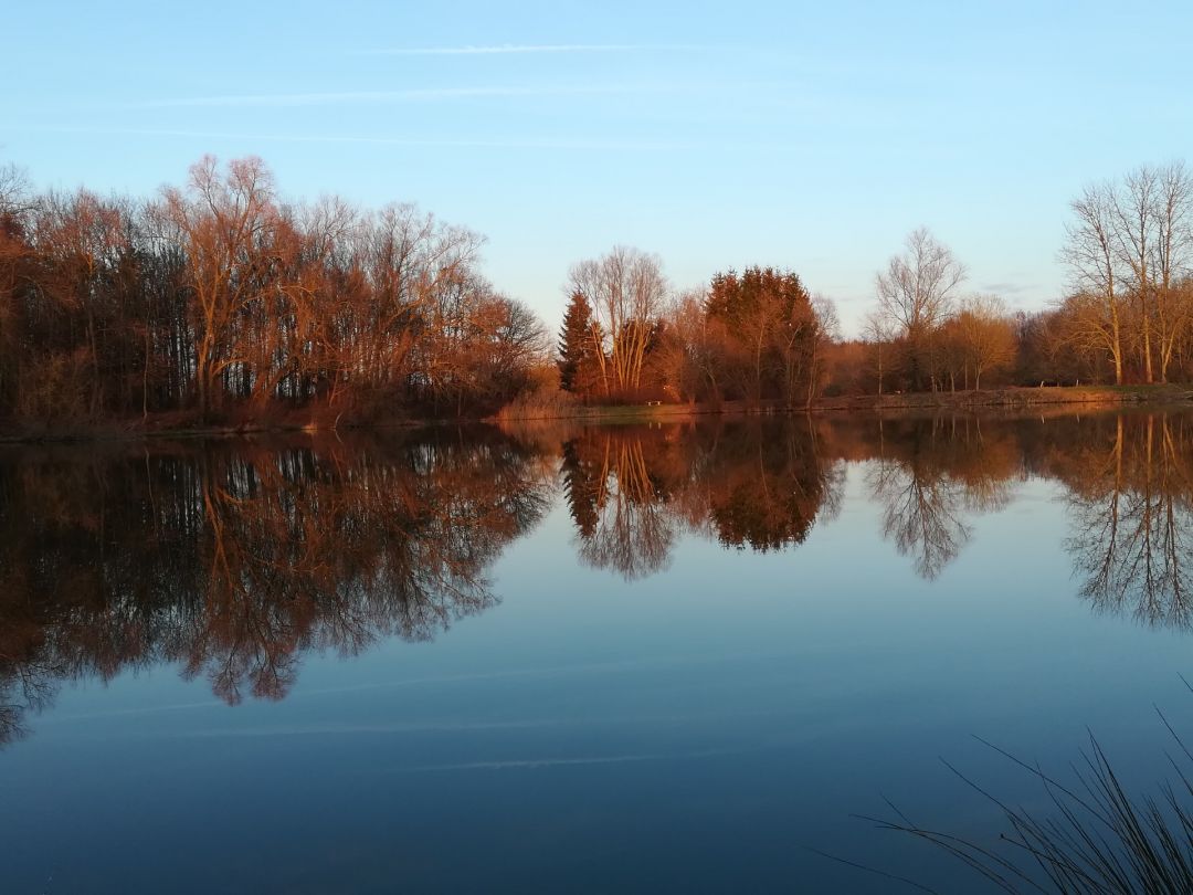 Baggersee Ellgau angeln