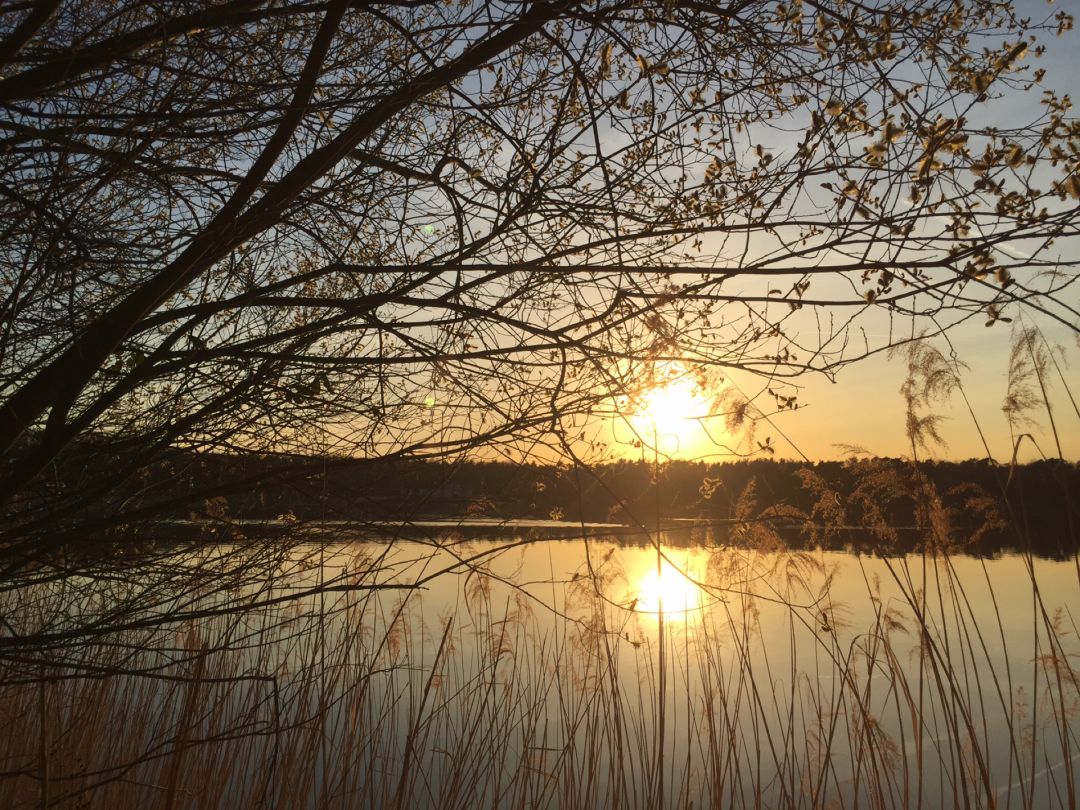 Badesee Walldorf angeln