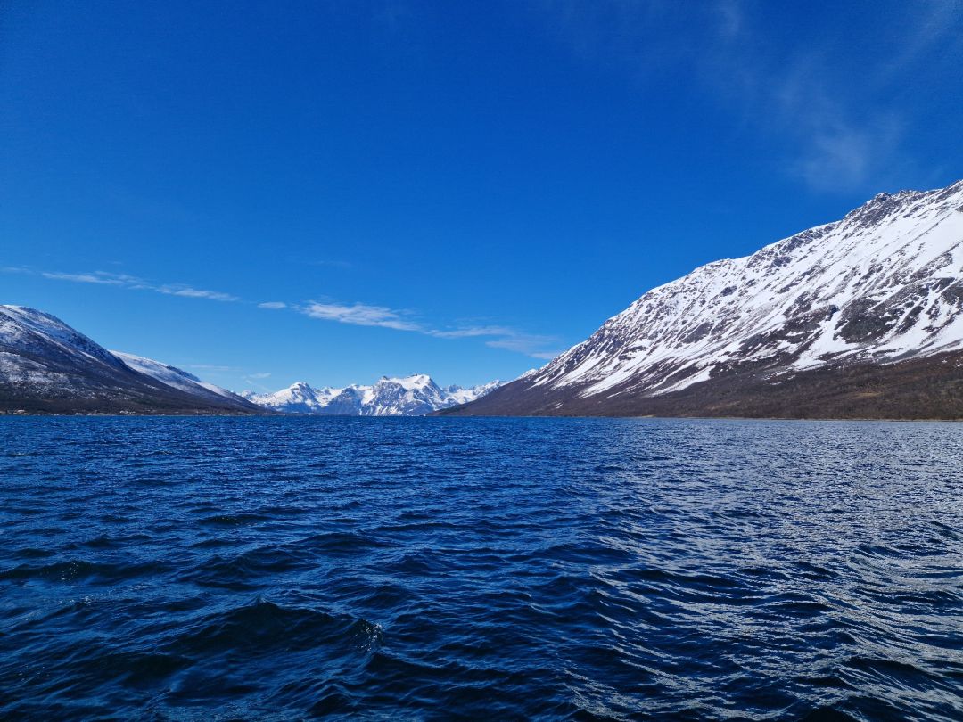 Lyngen angeln