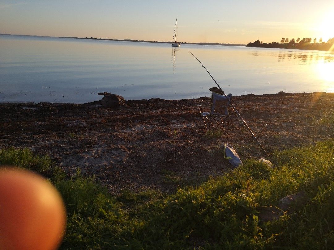 Ostsee (Faaborg) angeln