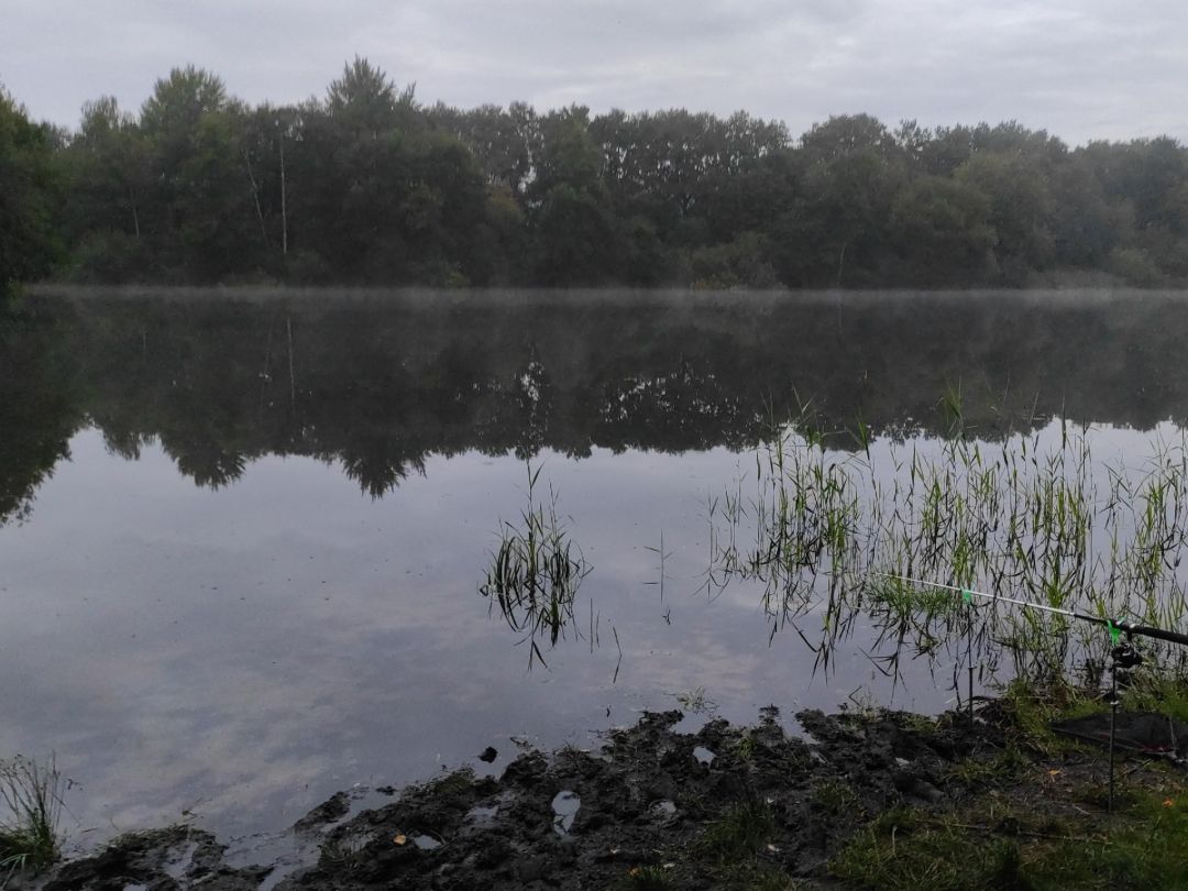 Rückhaltebecken Lentföhrden angeln