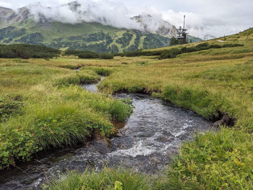 Taurachbach bei Obertauern angeln