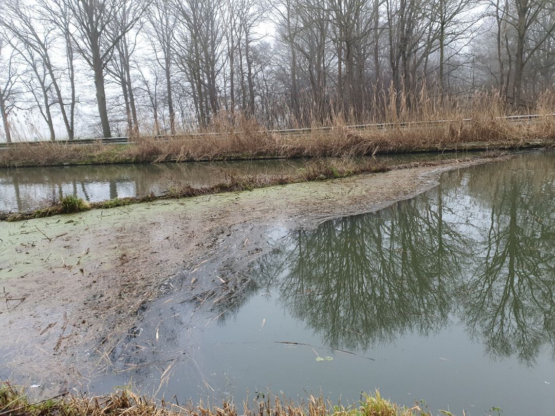 Nordervaart (Nederweert) angeln