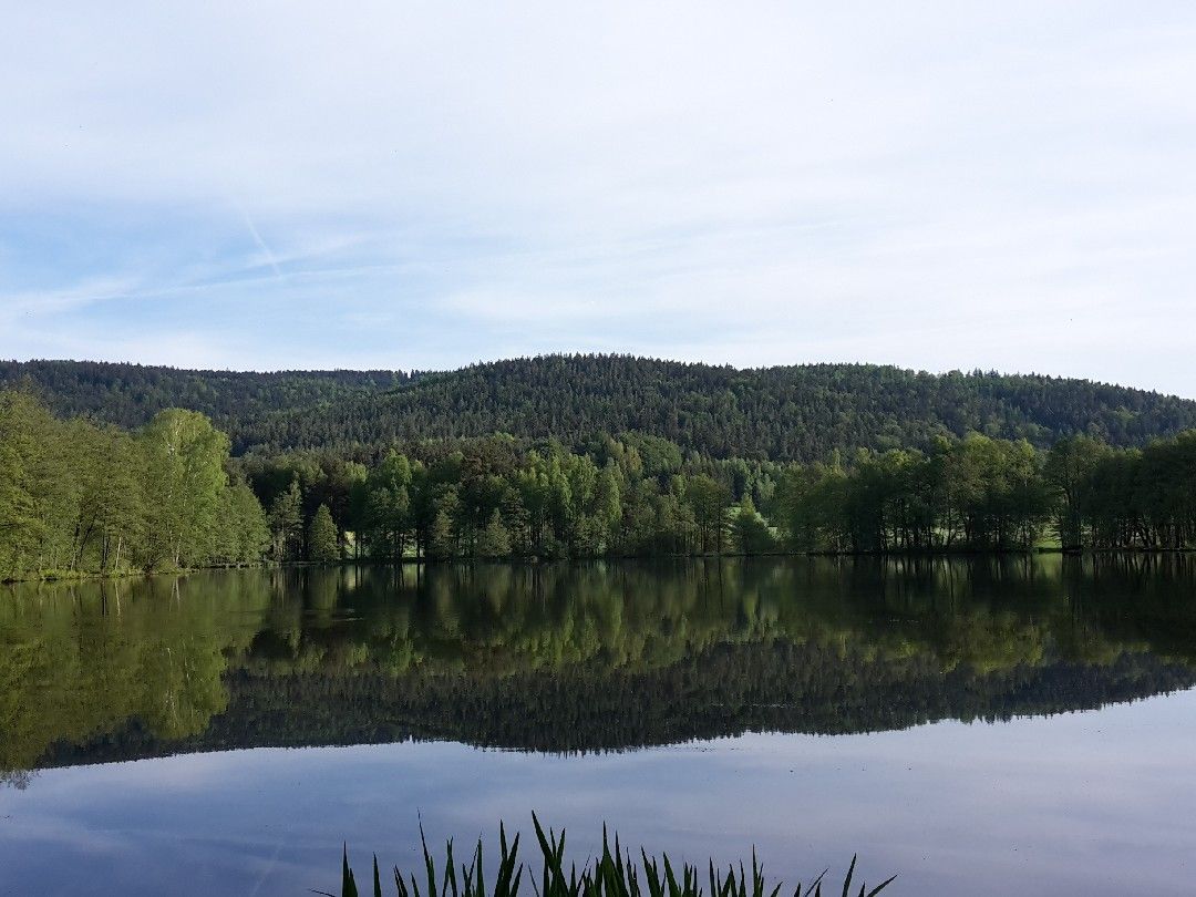 Frauenreuther Weiher angeln