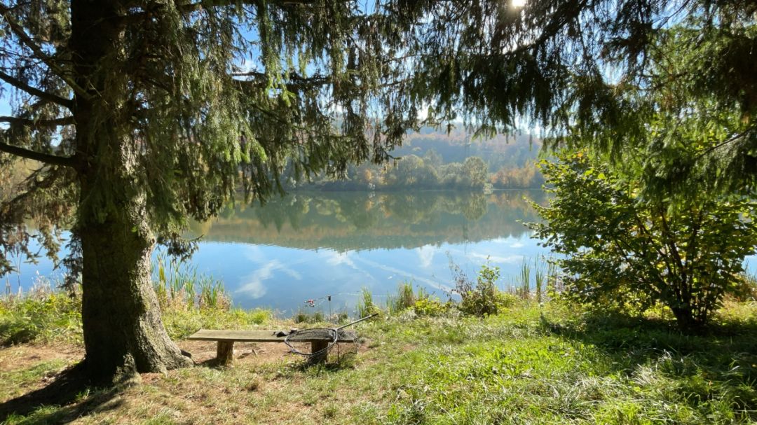 Alter Baggersee Westheim (Marsberg) angeln