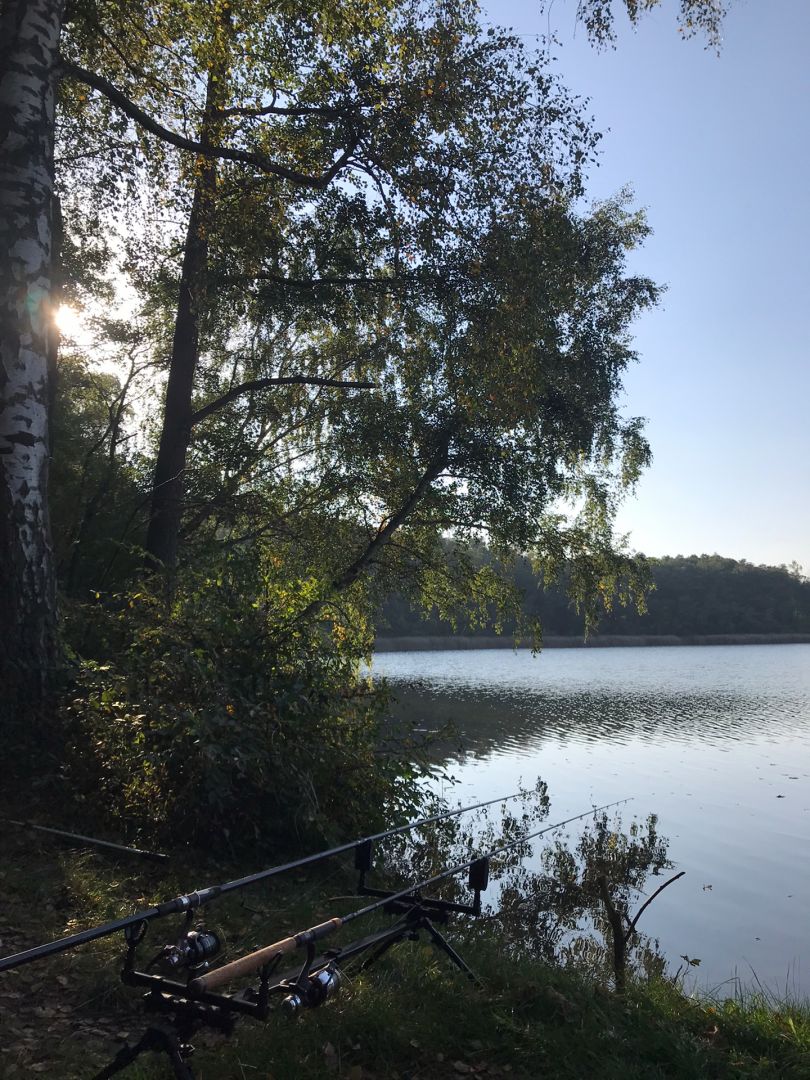 Dolgensee (Altfriedland) angeln