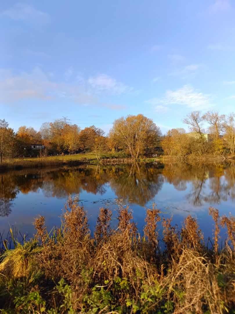 Gieselteich (Bad Segeberg) angeln