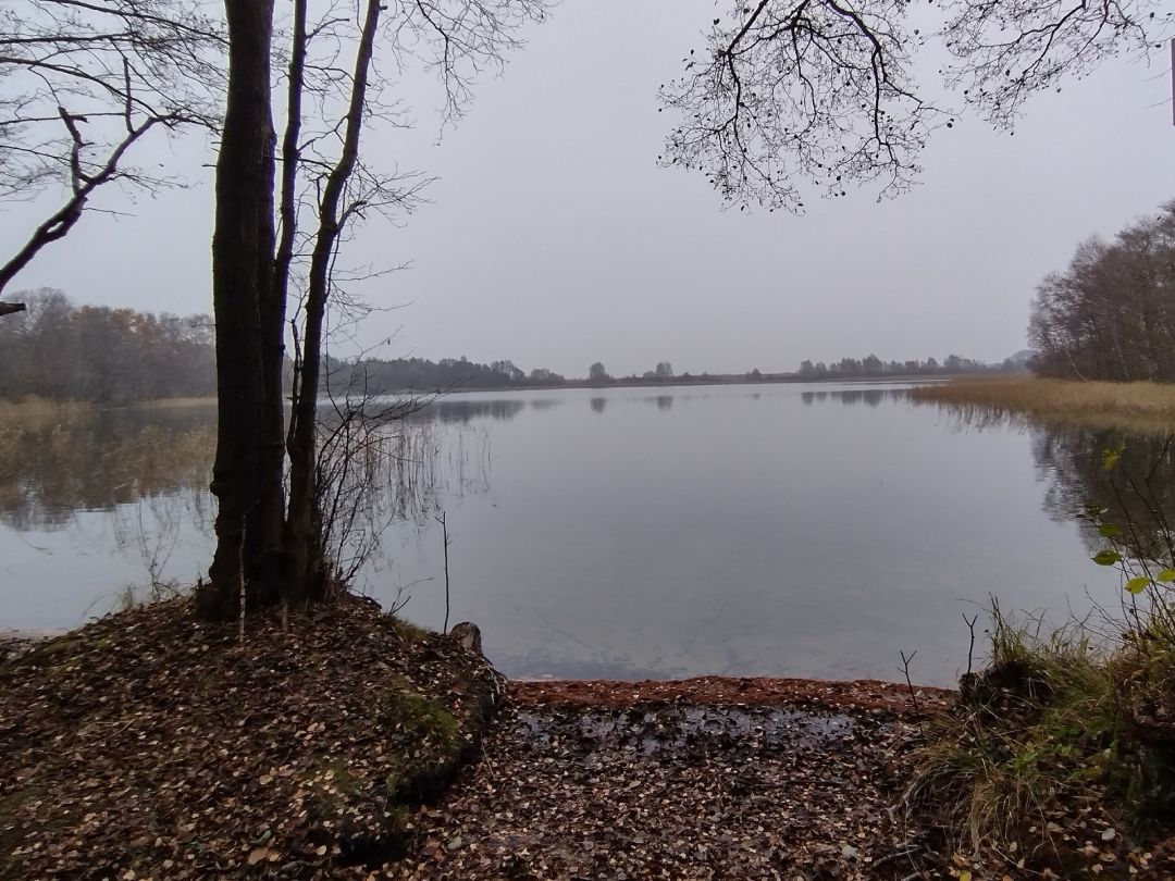 Straßensee (Wangelkower See) angeln