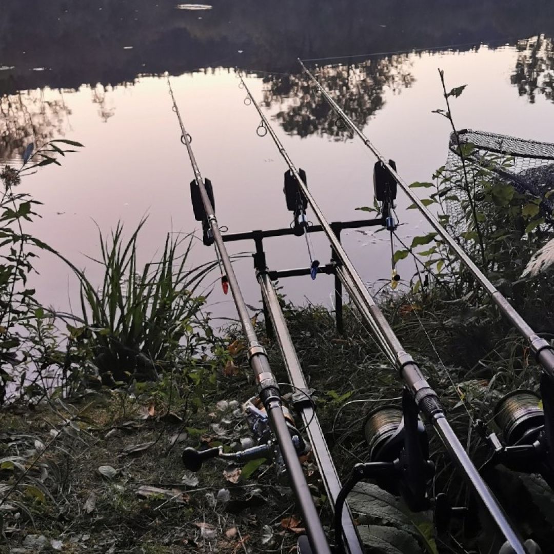 Bärensee (Kaufbeuren) angeln