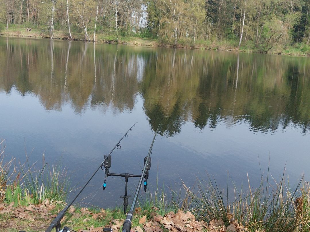 Schwarzer Weiher (Fischerfreunde Mantel) angeln