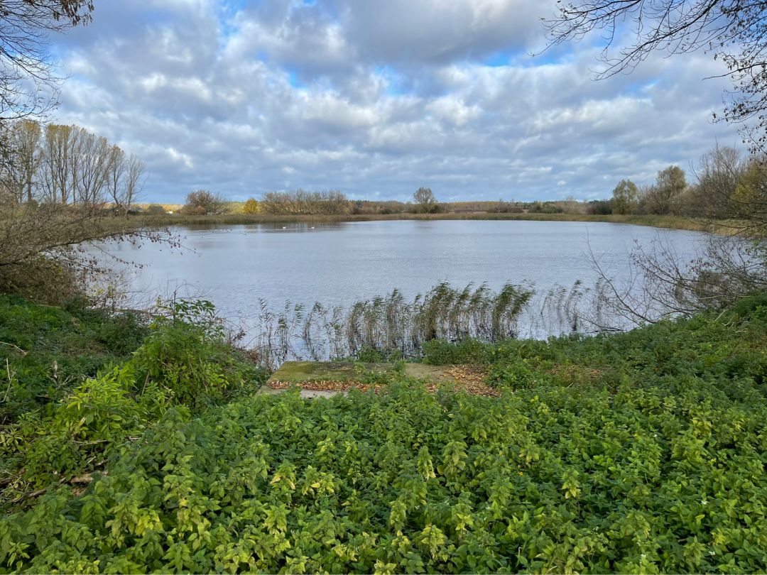 Roter See (Velgast) angeln