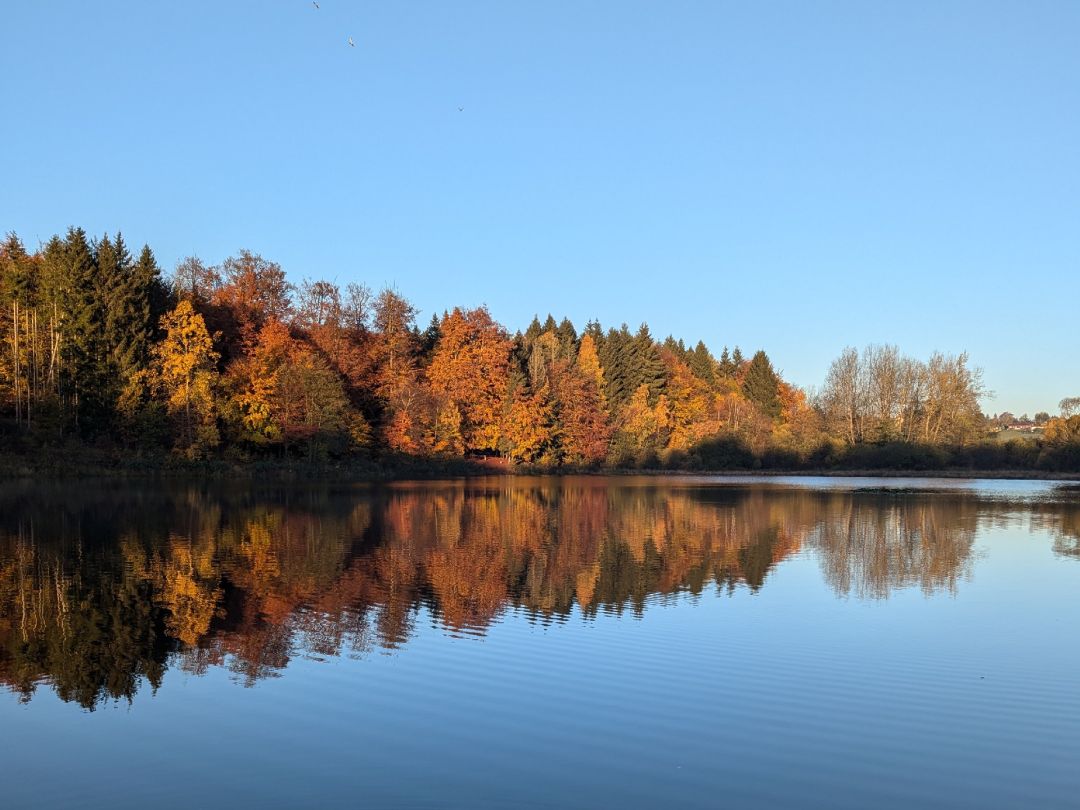 Gondelteich (Friedrichsbrunn) angeln