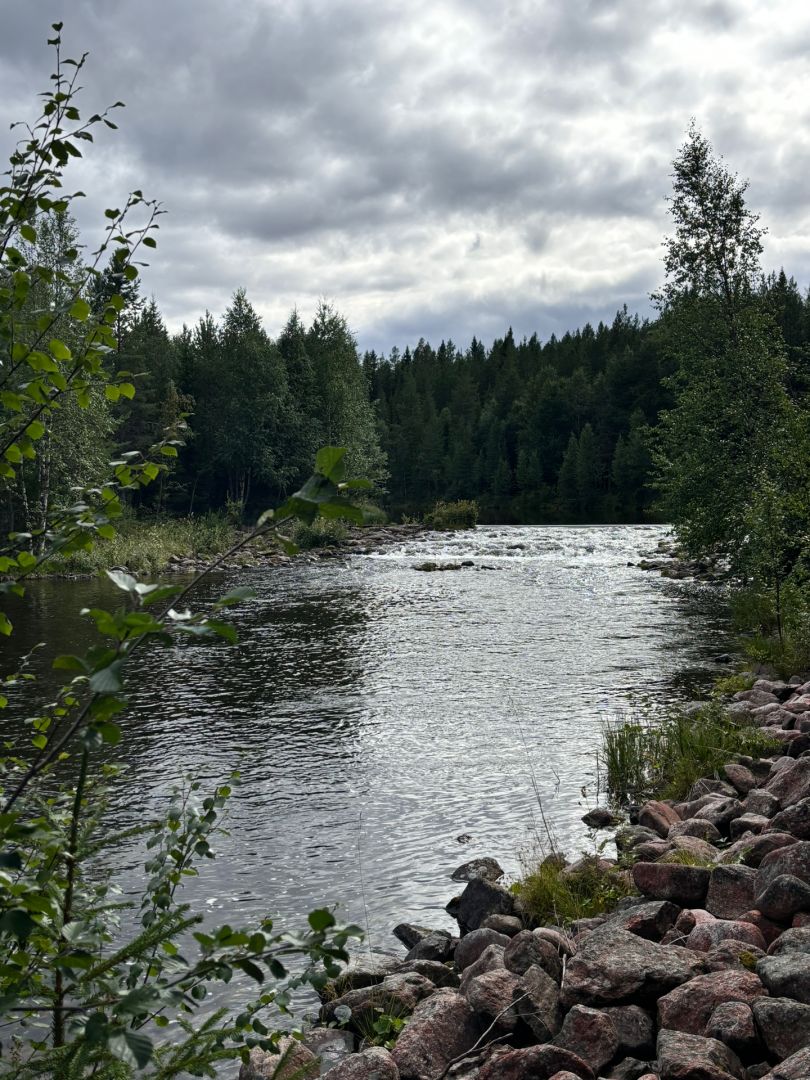 Ljusnan (Medskogsbygget) angeln