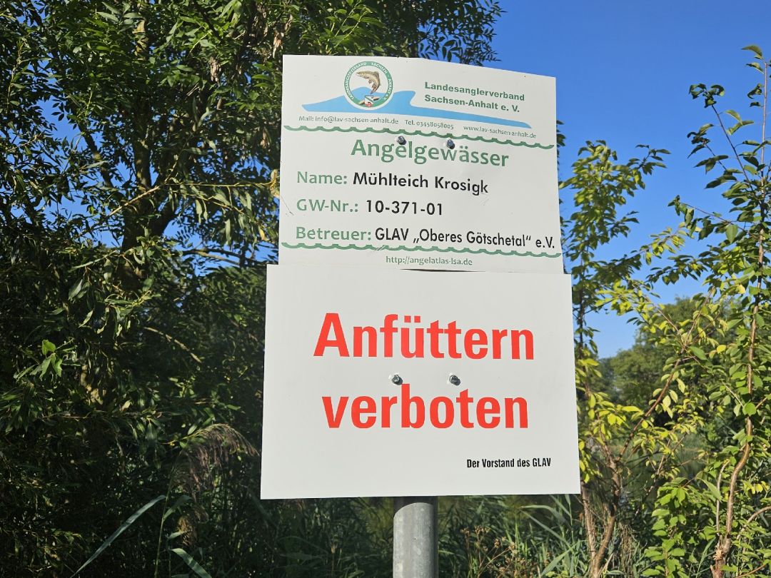 Mühlenteich Krosigk angeln