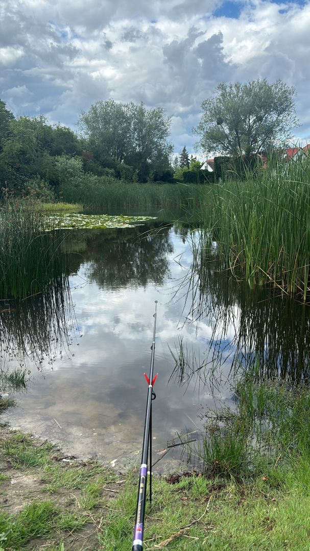 Dorfteich (Hirschfelde) angeln