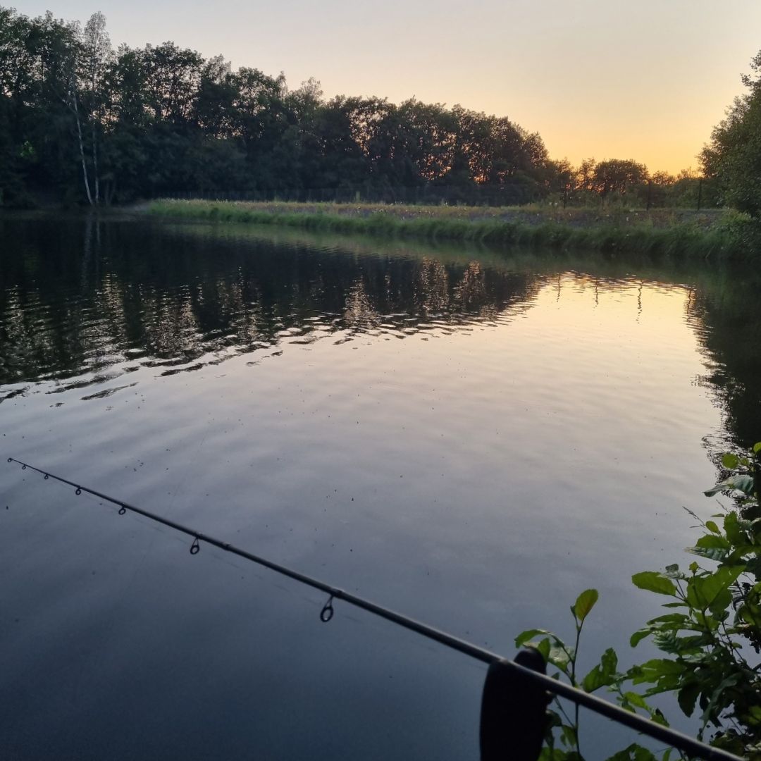 Osterteich (Gernrode) angeln