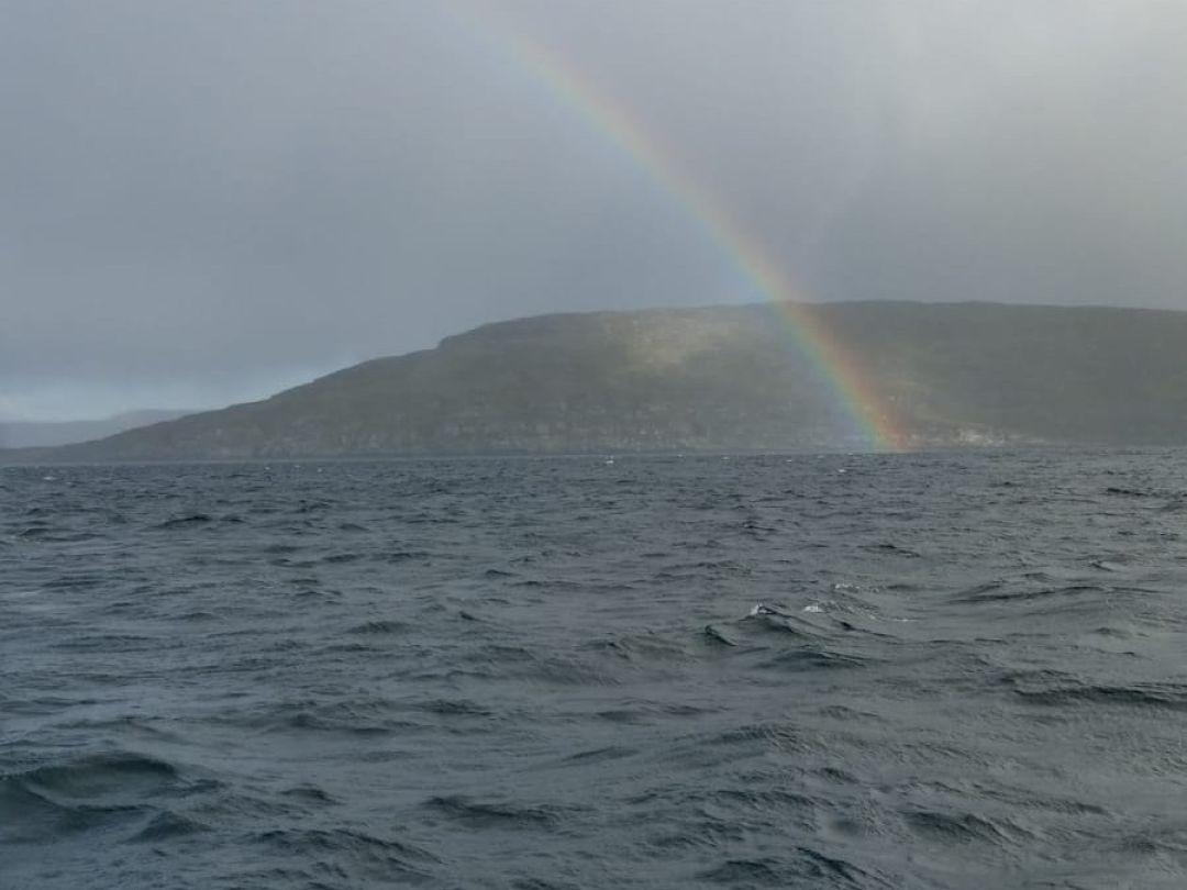 Havøysundet angeln