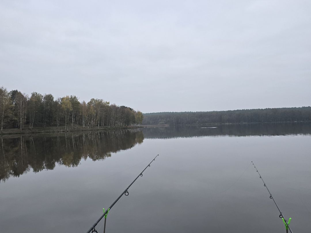 Großteich (Niesky) angeln