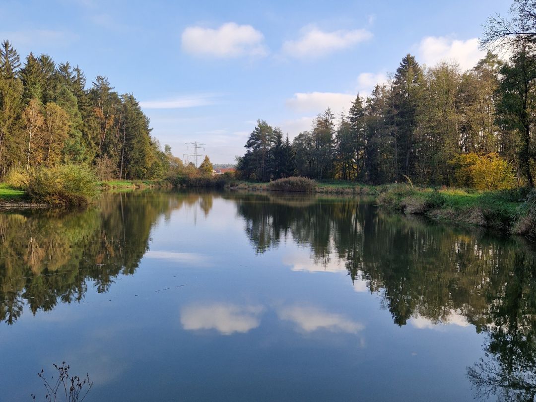 Herpersdorfer Weiher angeln