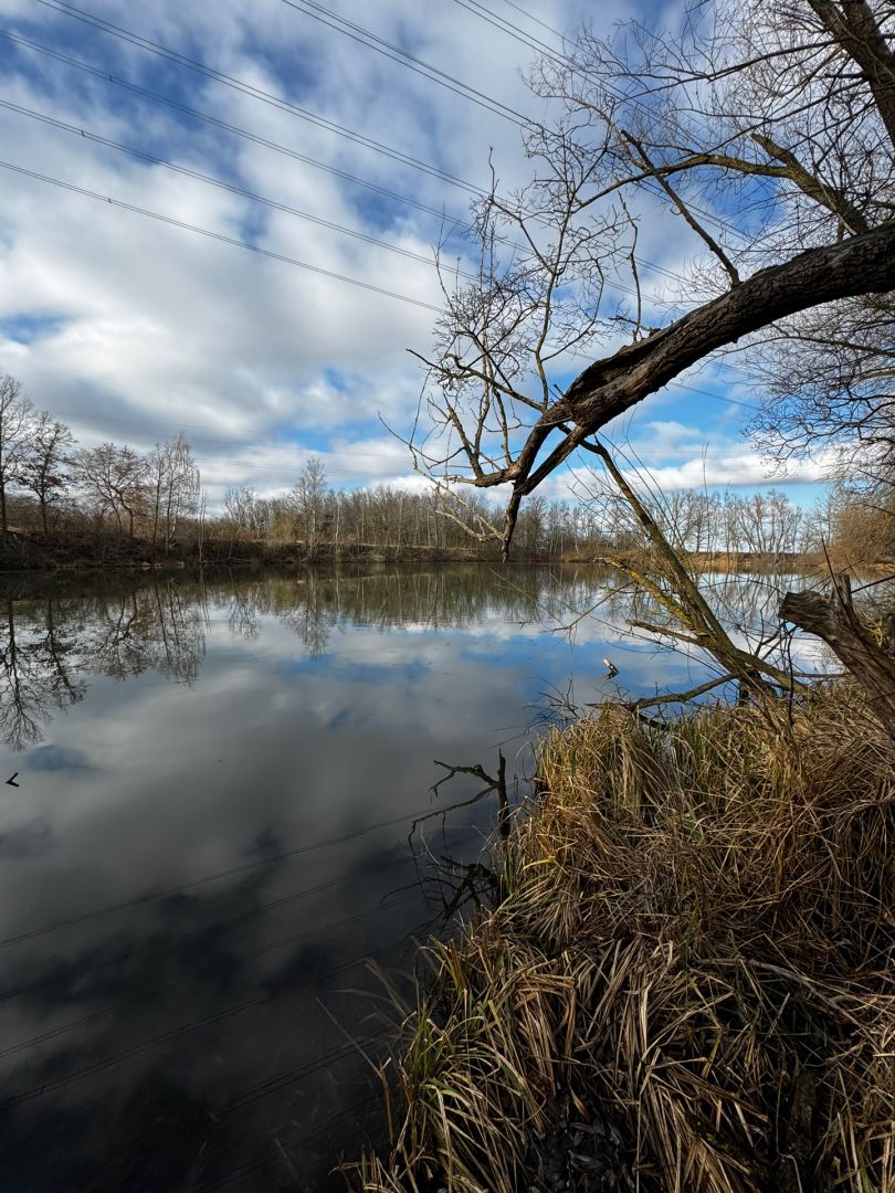 Unterelchinger See angeln