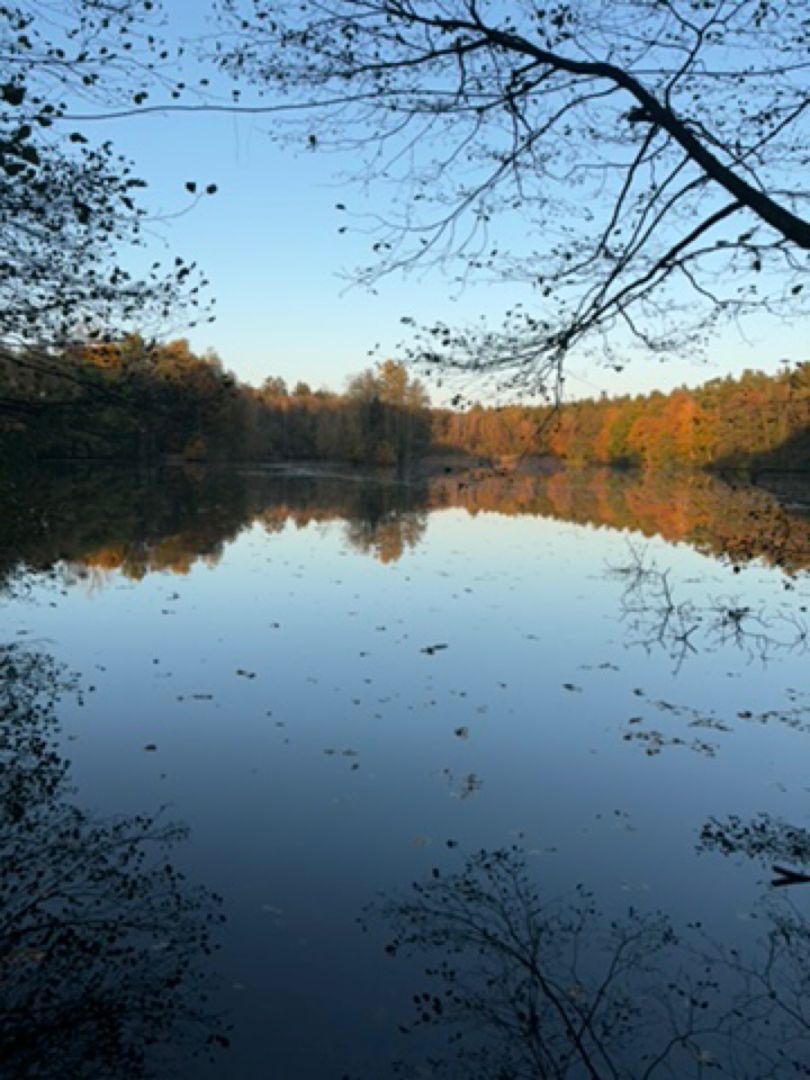 Seppenser Mühlenteich angeln