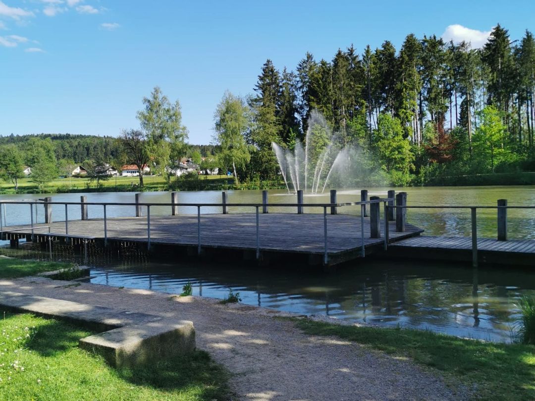 Salinensee (Bad Dürrheim) angeln