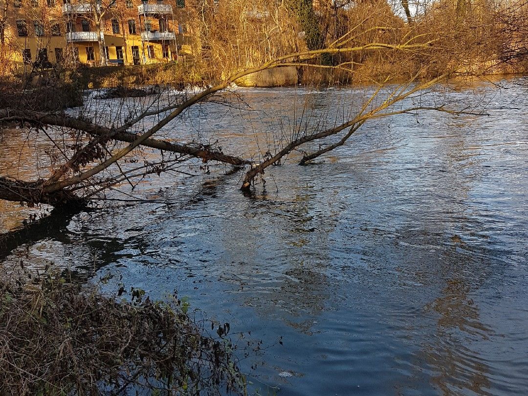 Angeln in Schkeuditz