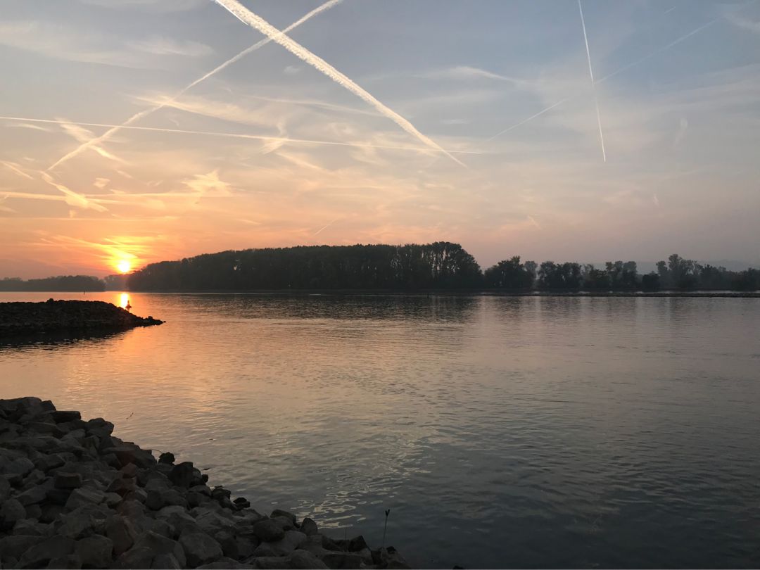 Rhein (Rüdesheim) angeln